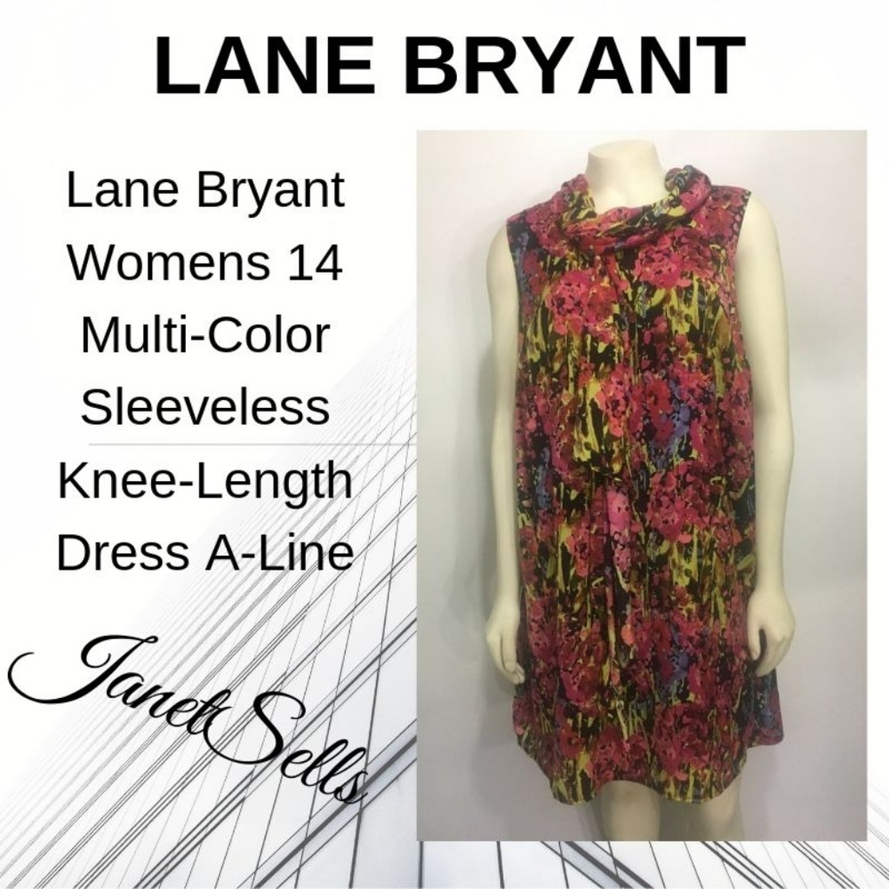 Lane Bryant 14 Multi-Color Sleeveless Dress